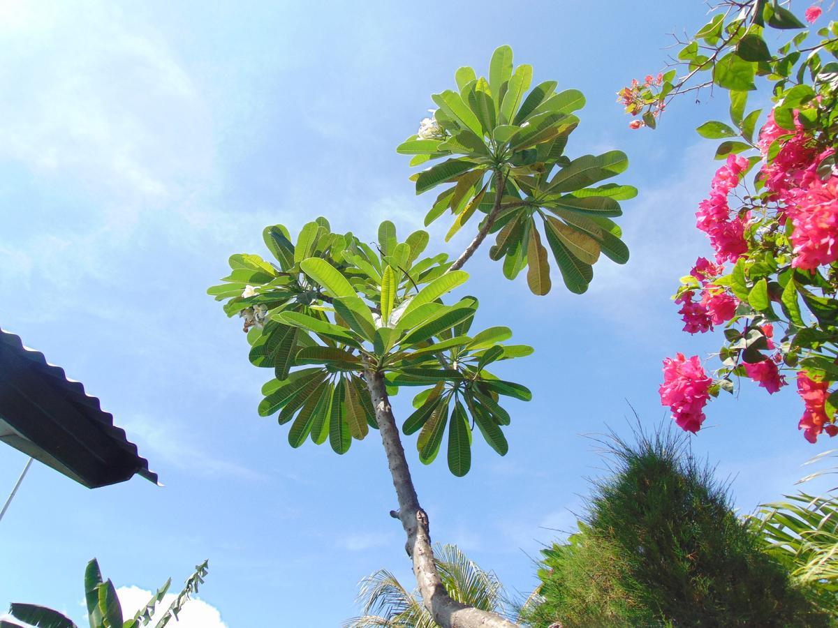 Sister Bungalow Hotel Gili Air Zewnętrze zdjęcie